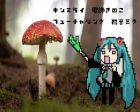 電飾きのこ
