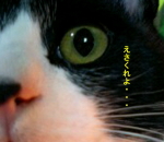 りんか
